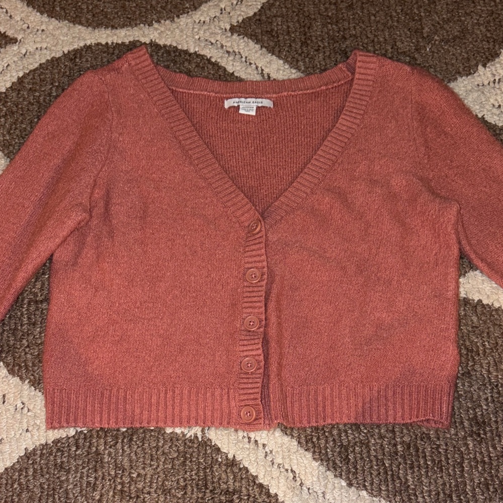 American Eagle Outfitters Terracotta Cardigan